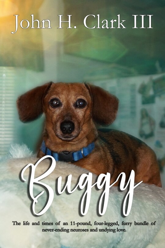 Couverture_Buggy