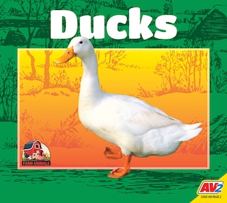 Couverture_Ducks