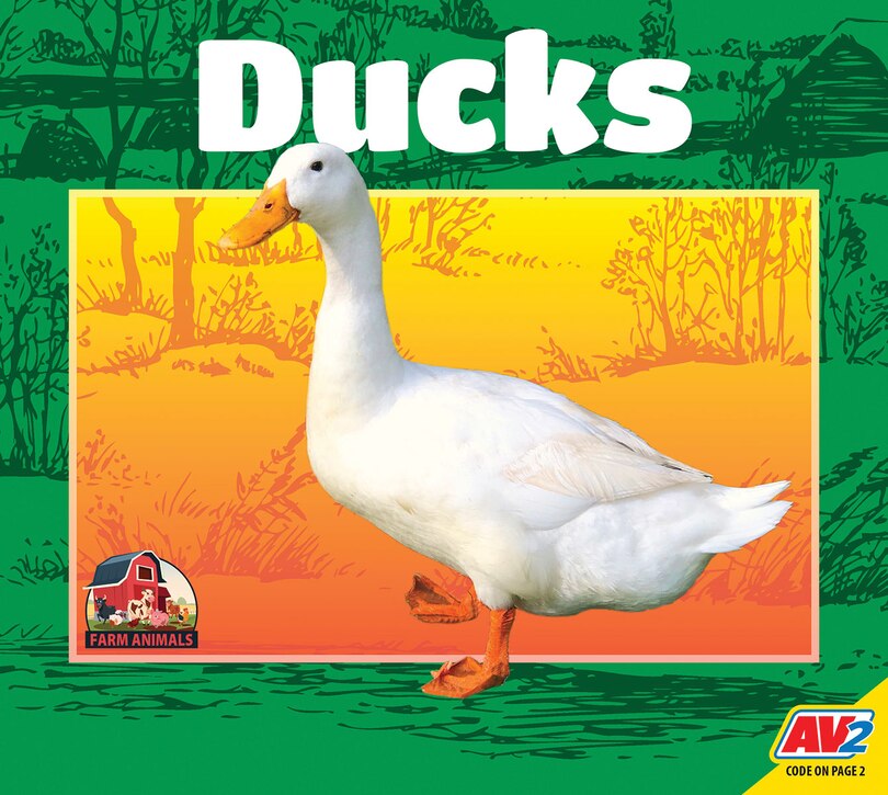Couverture_Ducks