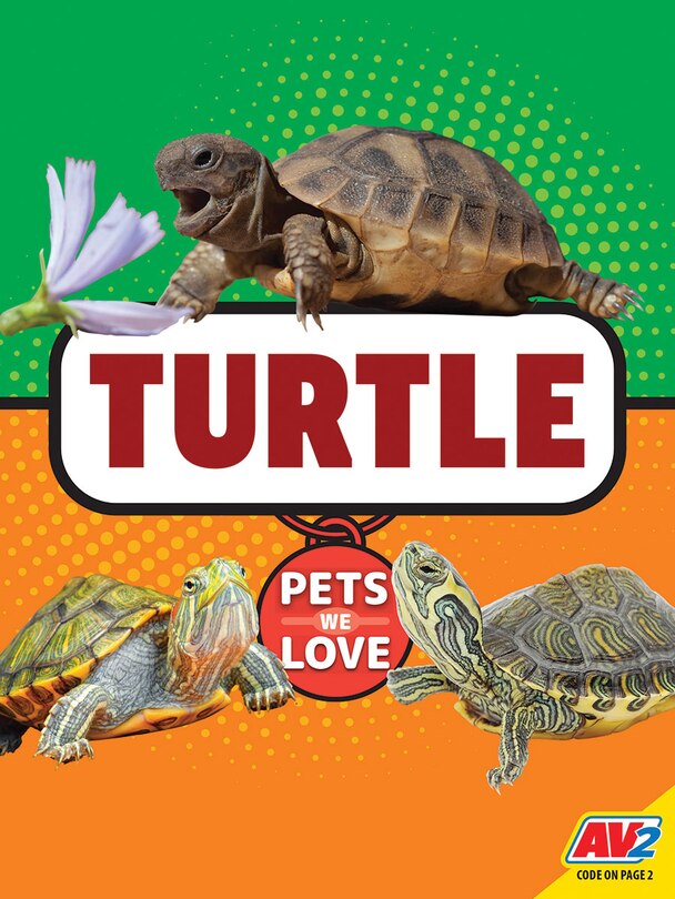 Front cover_Turtle