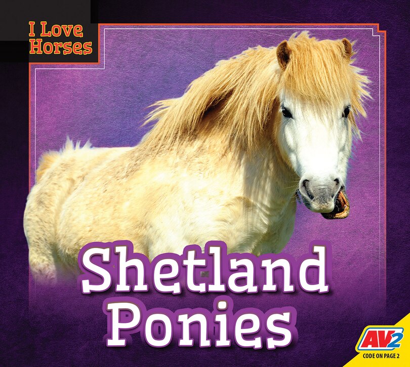 Couverture_Shetland Ponies