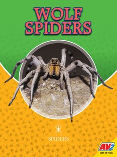 Front cover_Wolf Spiders