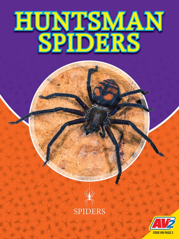 Couverture_Huntsman Spiders