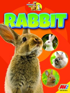 Couverture_Rabbit