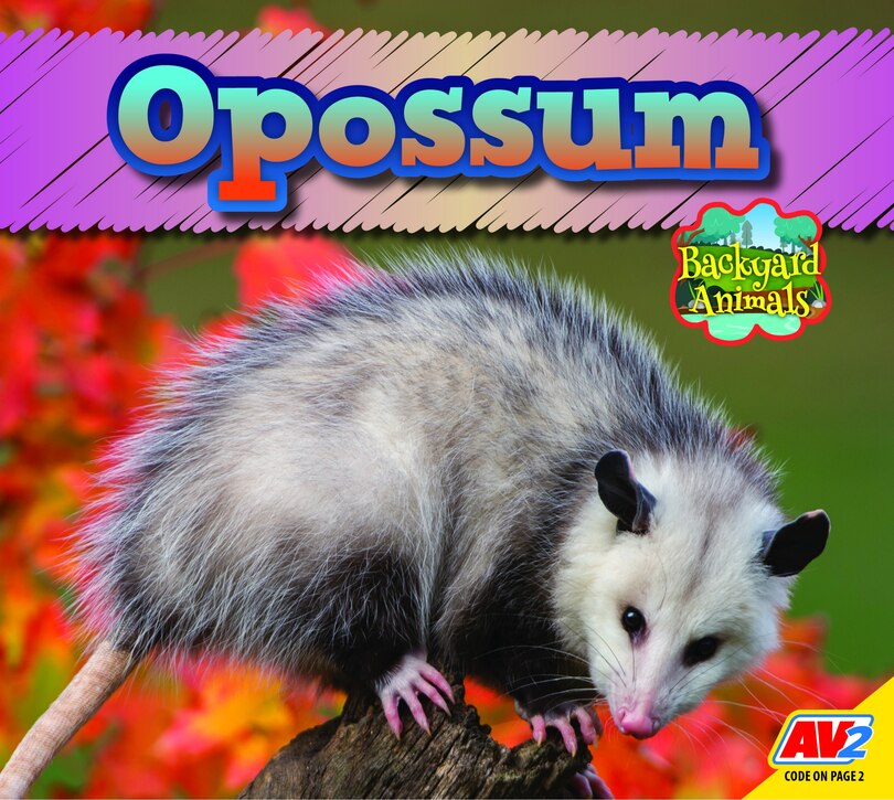 Couverture_Opossum