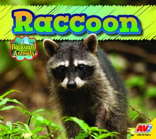 Front cover_Raccoon