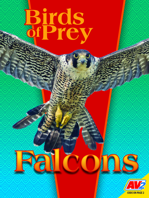 Couverture_Falcons
