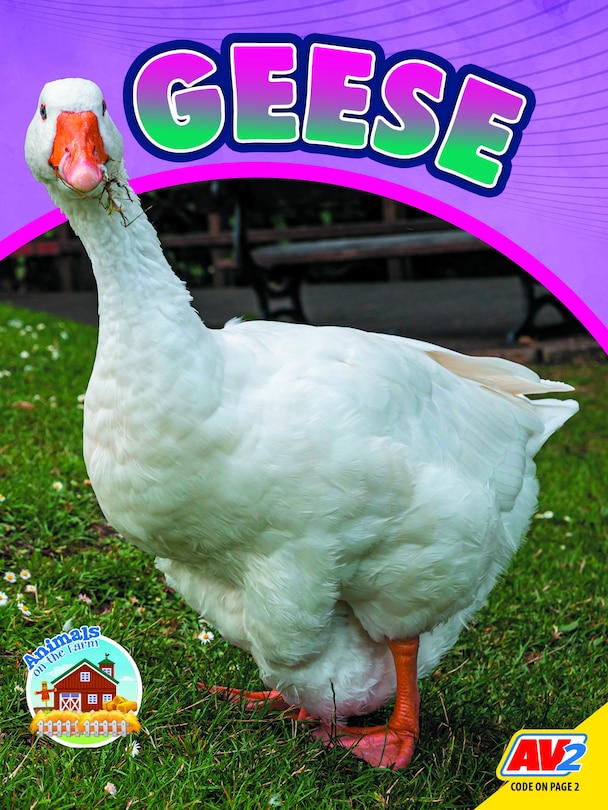 Couverture_Geese