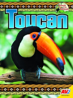 Couverture_Toucan