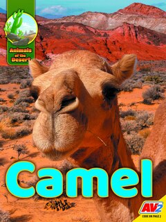 Couverture_Camel