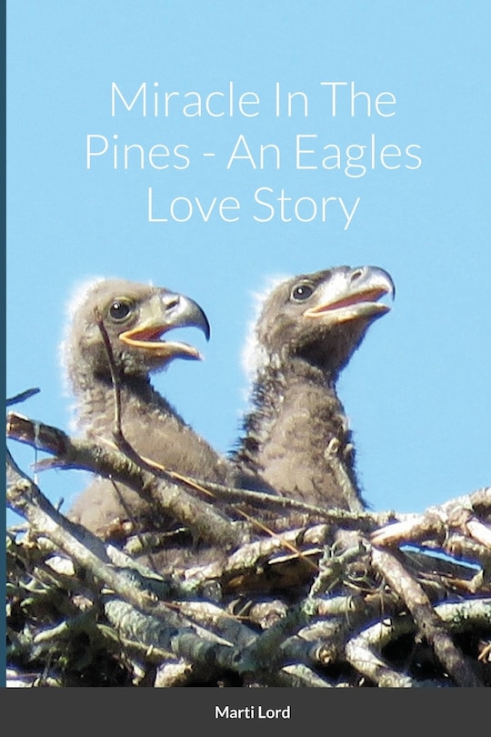 Couverture_Miracle In The Pines - An Eagles Love Story