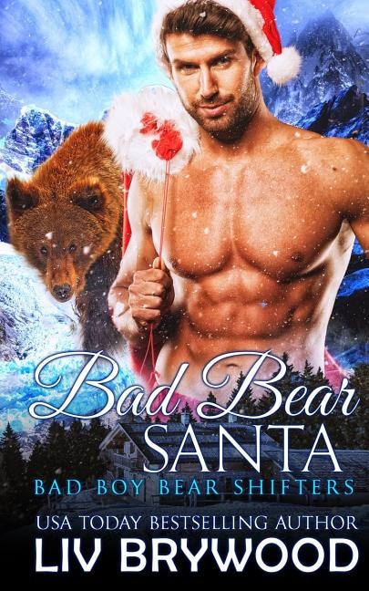 Front cover_Bad Bear Santa