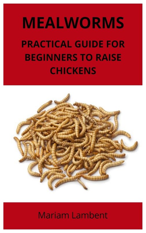 Couverture_Mealworms