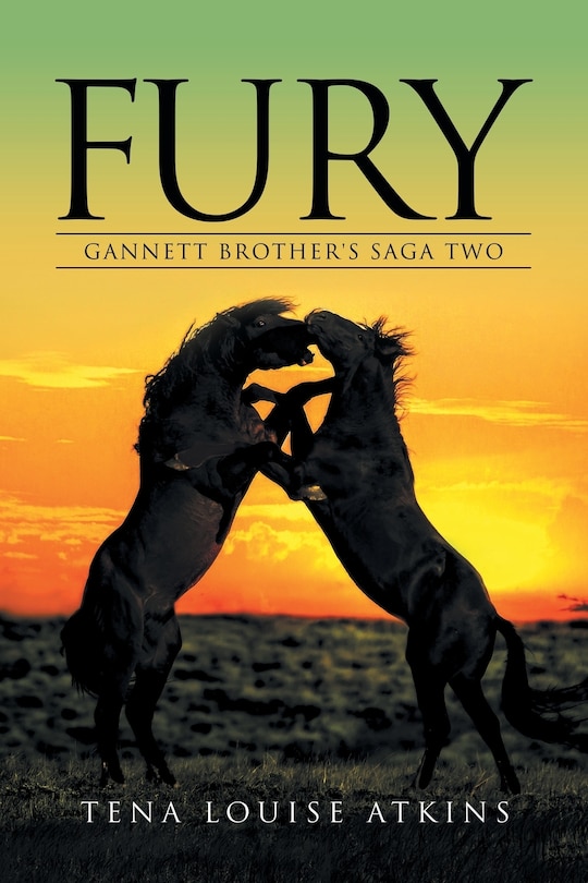 Couverture_Fury