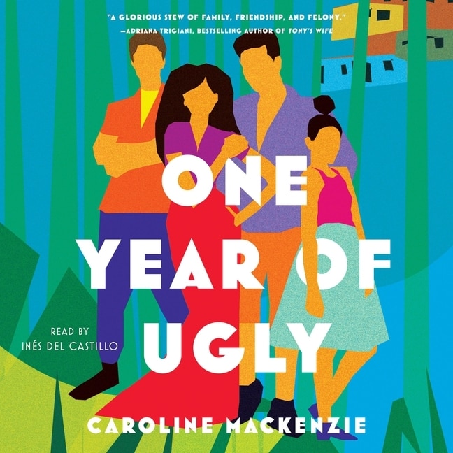 One Year of Ugly: A Novel