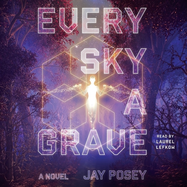 Every Sky a Grave: A Novel