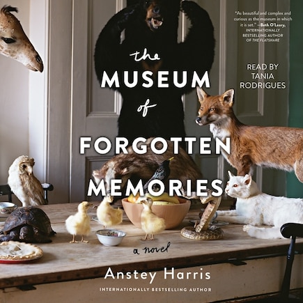 The Museum of Forgotten Memories