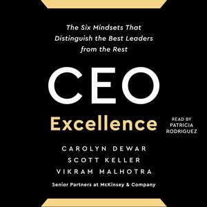 Ceo Excellence: The Six Mindsets That Distinguish The Best Leaders From The Rest by Scott Keller