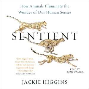 Sentient: How Animals Illuminate The Wonder Of Our Human Senses