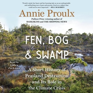 Fen, Bog And Swamp: A Short History Of Peatland Destruction And Its Role In The Climate Crisis