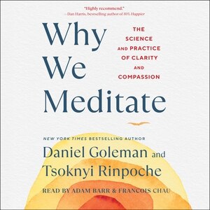 Why We Meditate: The Science And Practice Of Clarity And Compassion