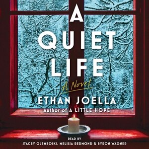 A Quiet Life: A Novel
