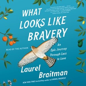 Front cover_What Looks Like Bravery