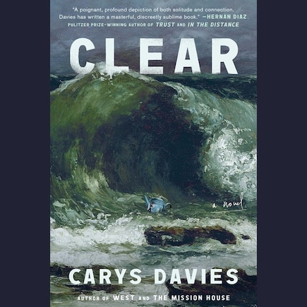 Clear: A Novel