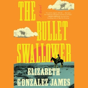 The Bullet Swallower: A Novel