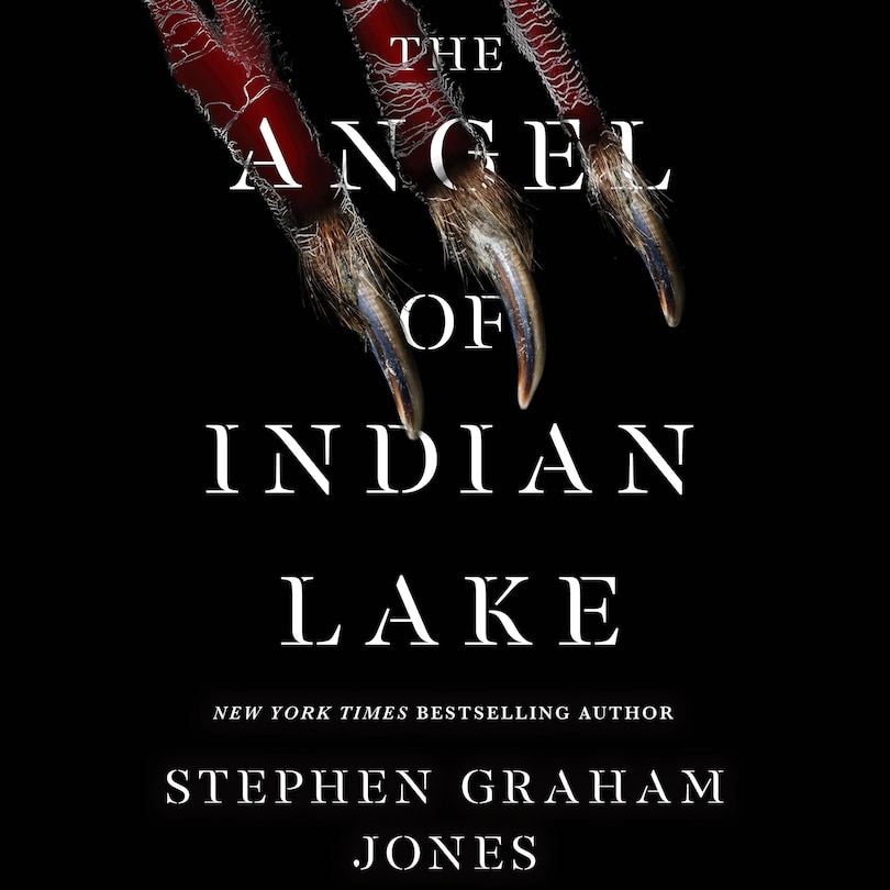 Front cover_The Angel of Indian Lake
