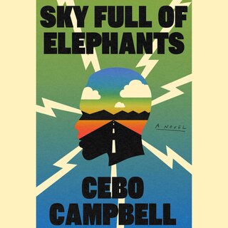 Front cover_Sky Full of Elephants