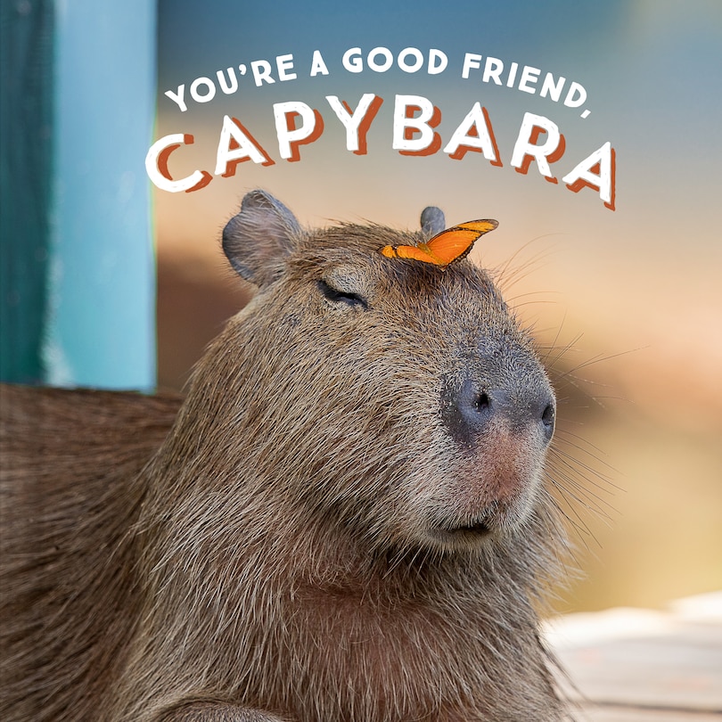 Front cover_You're A Good Friend, Capybara