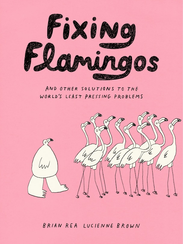 Couverture_Fixing Flamingos