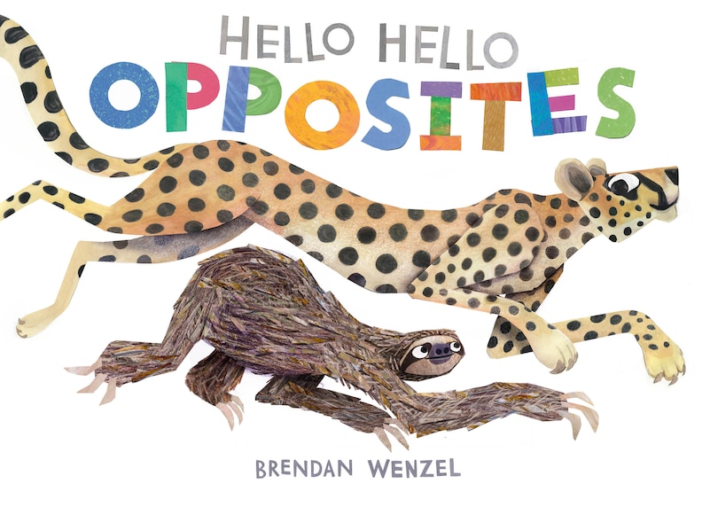 Couverture_Hello Hello Opposites