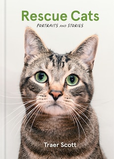 Rescue Cats: Portraits and Stories