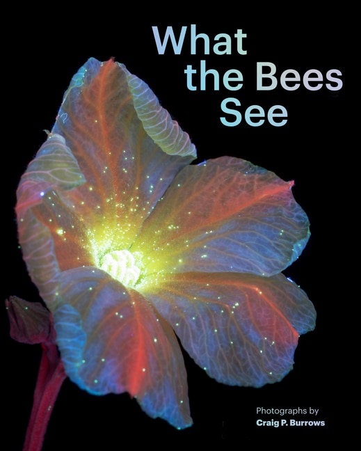 Front cover_What the Bees See