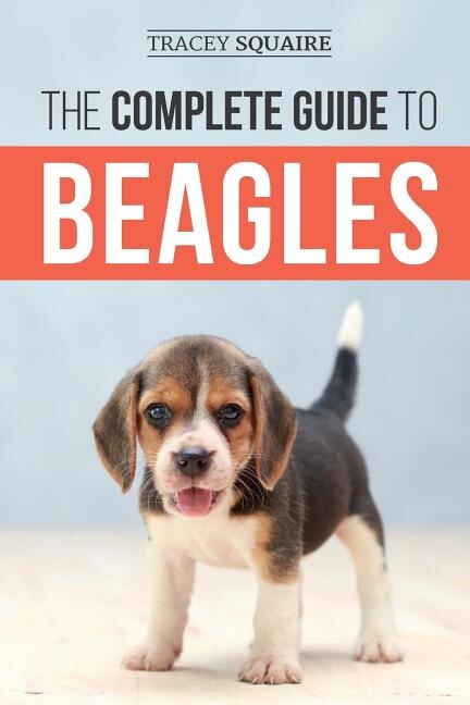 Housebreaking a deals beagle