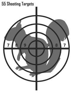 Front cover_55 Shooting Targets