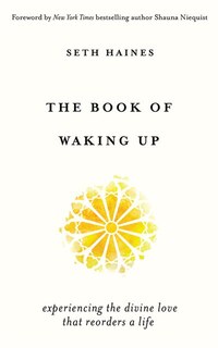 The Book Of Waking Up: Experiencing The Divine Love That Reorders A Life