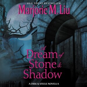 Front cover_A Dream of Stone & Shadow