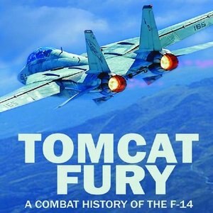 Tomcat Fury: A Combat History Of The F-14