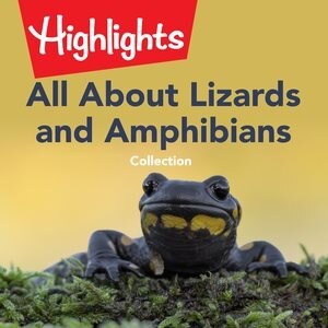 Front cover_All About Lizards And Amphibians Collection