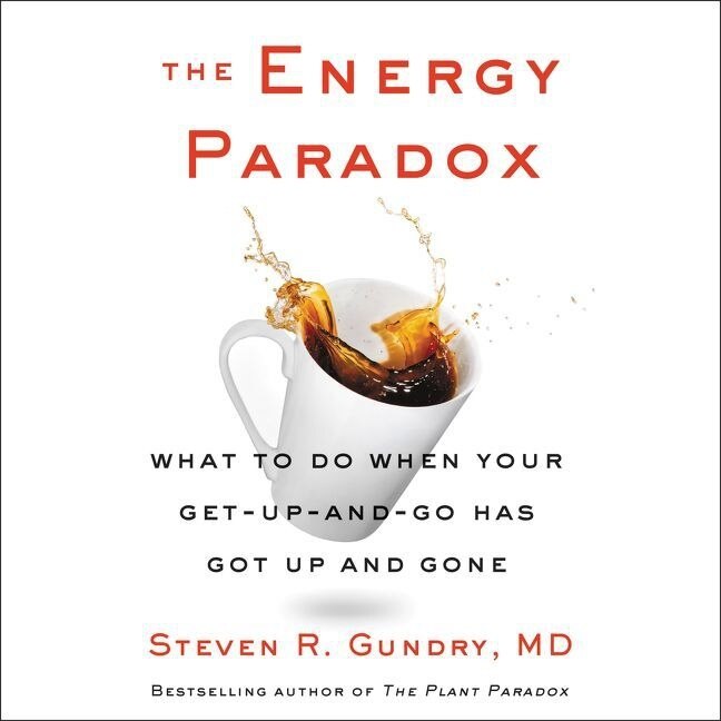 Couverture_The Energy Paradox Lib/E
