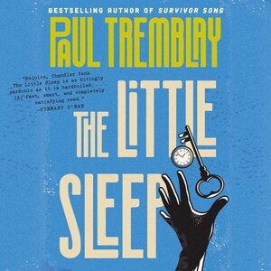 The Little Sleep: A Novel