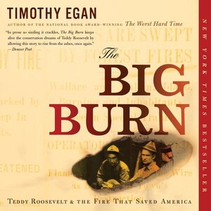 Front cover_The Big Burn