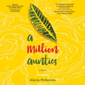 Front cover_A Million Aunties