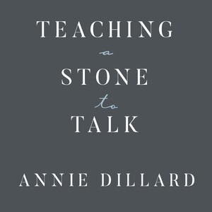 Front cover_Teaching a Stone to Talk