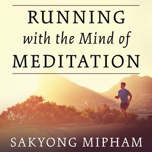 Front cover_Running with the Mind of Meditation