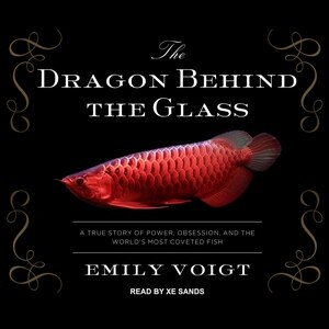 Couverture_The Dragon Behind the Glass