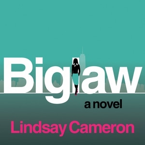 BIGLAW: A Novel